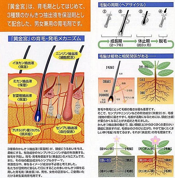 黄金宮 Hit Link